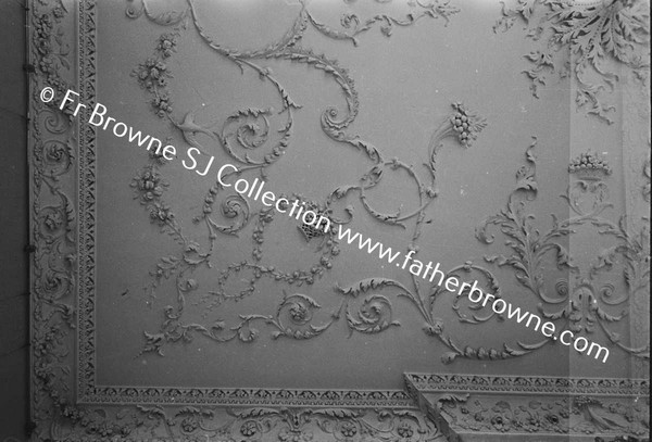 BROWNSHILL HOUSE CEILING OF DRAWING ROOM